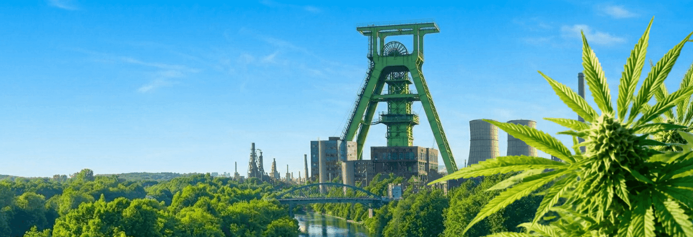 Ruhrpott mit Zeche und einer Cannabispflanze in der Ecke